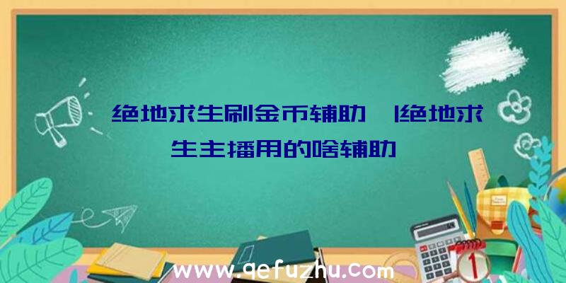 「绝地求生刷金币辅助」|绝地求生主播用的啥辅助